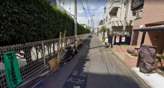 シュスラン大森